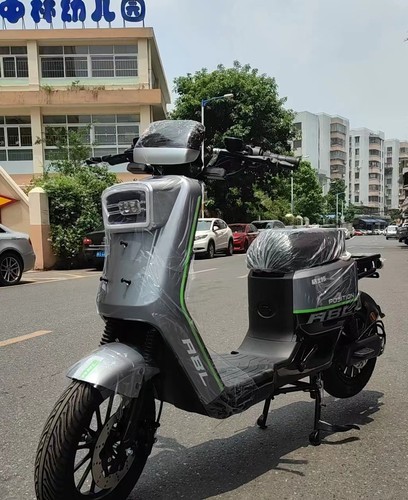 格士铃a8L新国标超强动力电动自行车外卖代步家用锂电池外卖电动