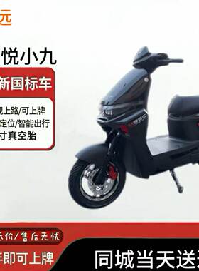 深远新国标速悦小九外卖电动自行