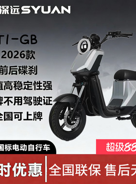 新新国标深远GT1-GB10寸成人家用代步智能电动车