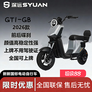 GB10寸成人家用代步智能电动车 新新国标深远GT1