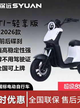 深远gt1-GB轻享版新国标电动车亲子代步电瓶车智能小牛同款高续航