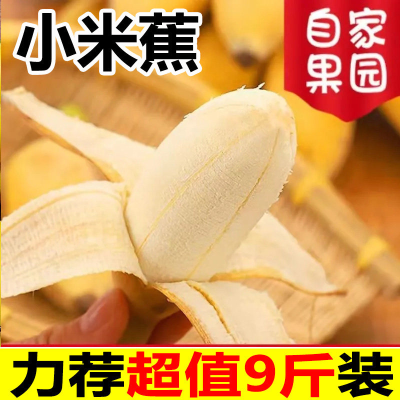 广西小米蕉香蕉新鲜9斤水果小香芭蕉当季苹蕉整箱自然熟包邮5,水产肉类/新鲜蔬果/熟食,香蕉,淘宝优惠券,粉丝福利购,淘宝优惠卷