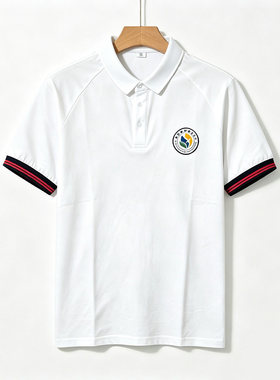 湖海塘中学夏季同款校服POLO衫