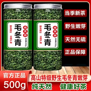 毛冬青云南野生茶官方正品特级嫩小叶苦丁茶叶中药材的功效养生茶