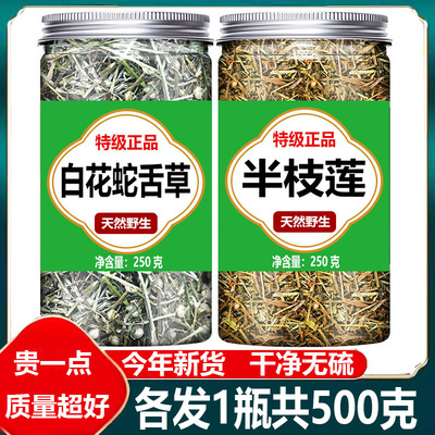 白花蛇舌草和半枝莲正品特级野生新鲜蛇舌草茶中药材的功效与作用