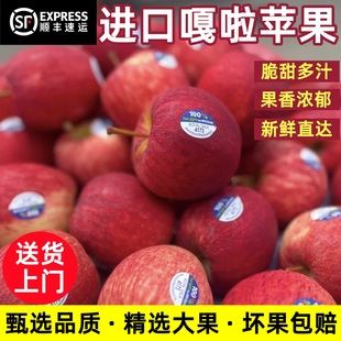 新西兰进口加力果当季新鲜苹果嘎啦果加丽果孕妇水果脆甜新鲜顺丰