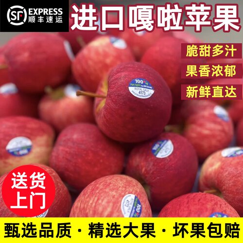 新西兰进口加力果当季新鲜苹果