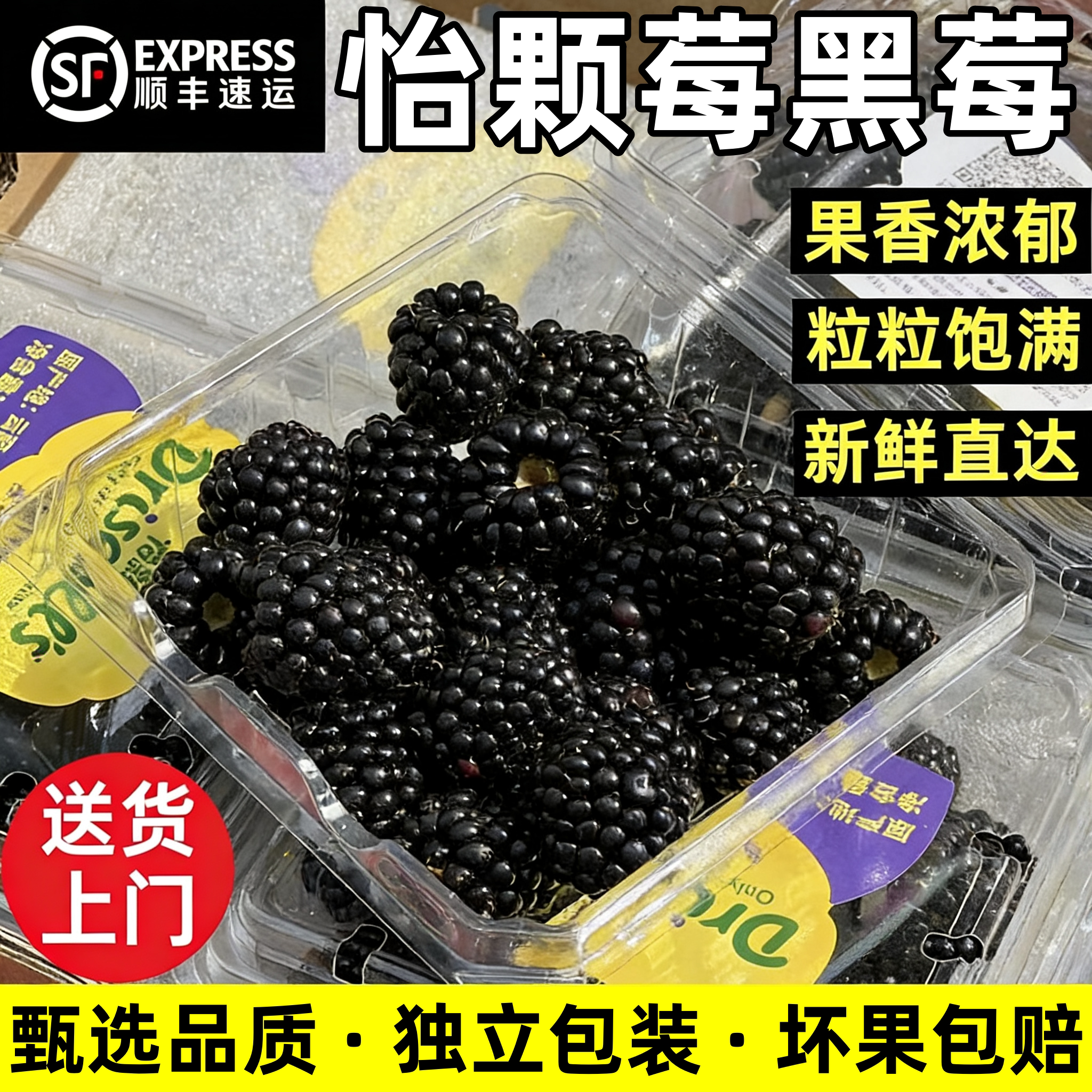 云南怡颗莓黑莓大果当季新鲜孕妇水果树莓桑葚鲜果覆盆子顺丰空运