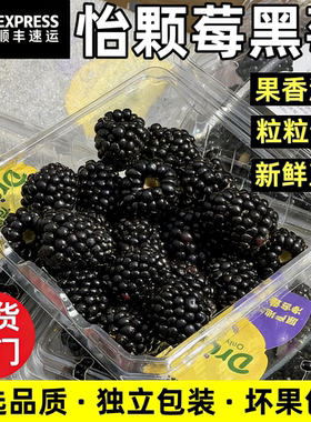 云南怡颗莓黑莓大果当季新鲜