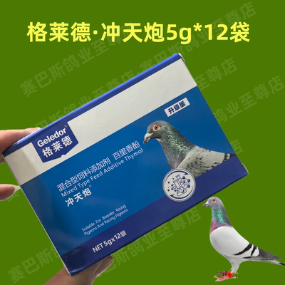 鸽子飞不高飞不久不爱飞张口喘气