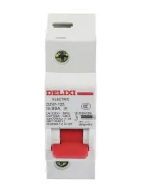 DZ471251D80 德力西 DZ47-125 大电流断路器 DZ47-125 1P D型 80A