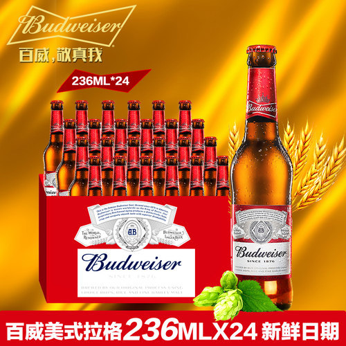 百威啤酒ktv夜场236ml*24经典拉格啤酒精酿啤酒整箱批发破损包赔