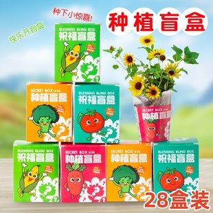 植物盲盒2025新款种子盆栽花卉种植蔬菜水果儿童节六一奖品小礼物