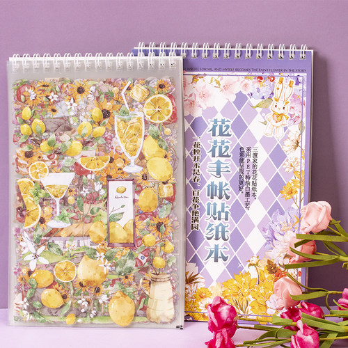 贴纸本手账胶带水晶pet特油