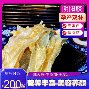 北海阴阳鱼胶价格 北海阴阳鱼胶图片 星期三