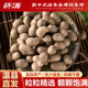 铁棍山药豆新鲜淮山豆大号山药蛋特大糖葫芦专用零食河南焦作