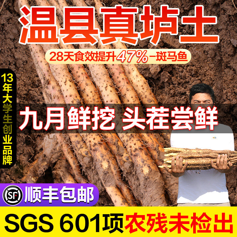 河南焦作温县铁棍山药垆土淮山药正宗怀山药官方旗舰店特产新鲜
