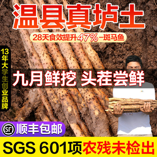 【顺丰包邮】温县垆土铁棍山药