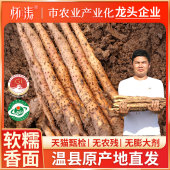 河南焦作温县垆土铁棍山药官方旗舰店正宗垆土怀山淮山药新鲜5斤