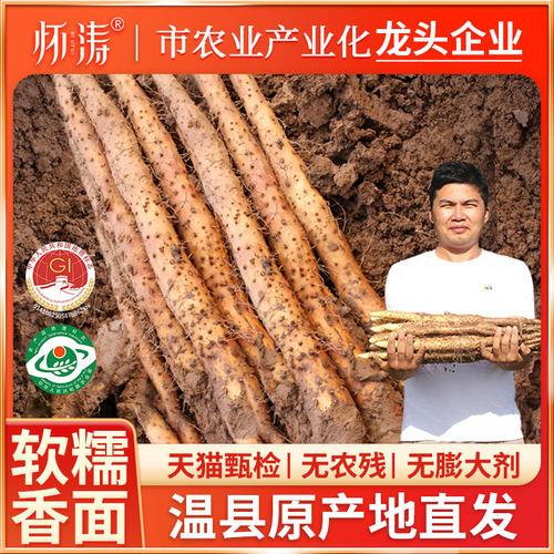 怀涛河南焦作铁棍山药5斤装