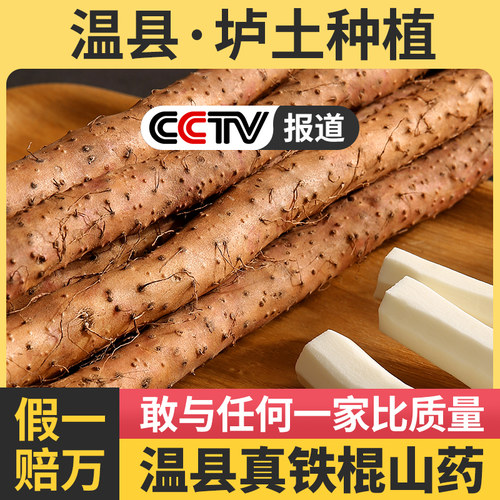 怀涛温县垆土铁棍山药正宗怀山药