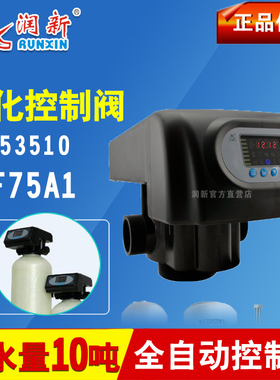 润新控制阀F75A1 全自动反冲洗时间过滤阀10吨 控制阀头53510