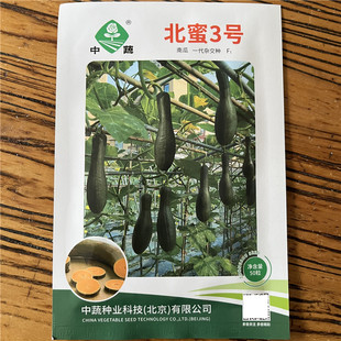 北蜜3号大吊瓜种子中早熟蔬菜种孑南瓜种子南北方春秋播种菜