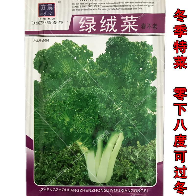 农家冬季绿绒春不老花叶蔬菜种子