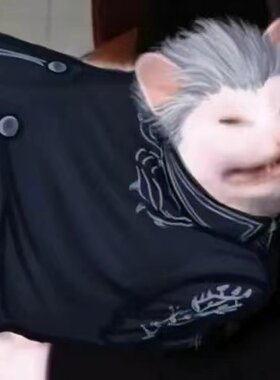 魔法师学徒抛瓦猫挂件零钱包大病区视频同款正版店
