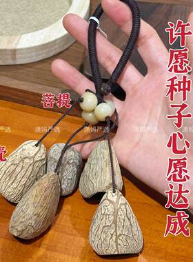 【2026潇妈严选】许愿种子手机链挂件礼物棕绳SL0551