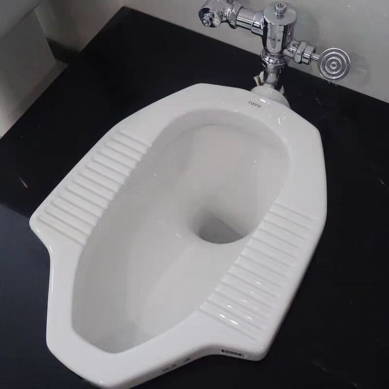 全新CW8RB家用工程酒店便器蹲便器