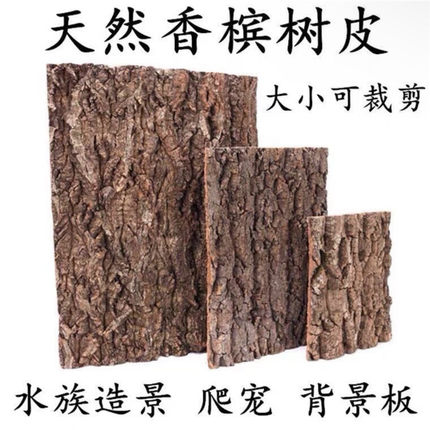 香槟真树皮爬宠造景雨林缸枯木爬虫宠物生态箱素材装饰攀爬背景板