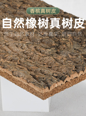 双层爬宠缸箱造景背景板天然攀爬木架真香槟树皮雨林缸树蛙寄居蟹