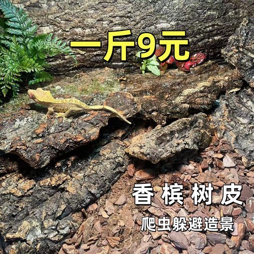 香槟软木树皮爬宠缸躲避
