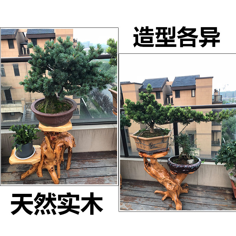 定制实木花架子客厅落地式多层简约现代根雕花架阳台置物架底座花