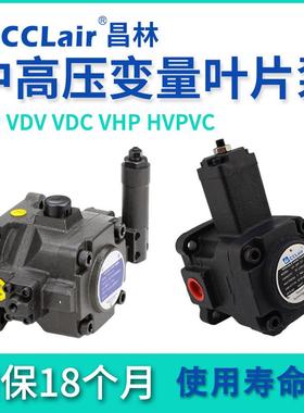 VD2 VE2 HVP HVPVC-F20/30/40/54/70/86-A4 VB1叶片泵VDC-1A-F20D