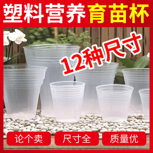 育苗杯营养杯塑料一次性小型培育苗杯蝴蝶兰花大号加厚营养钵批发