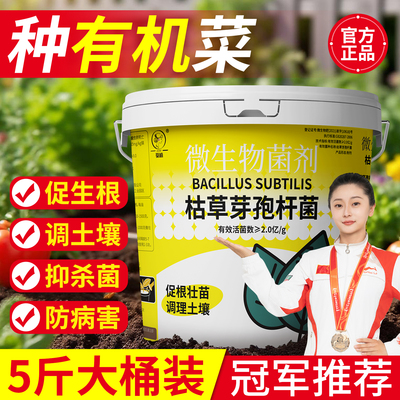 种有机菜微生物菌枯草芽孢杆菌
