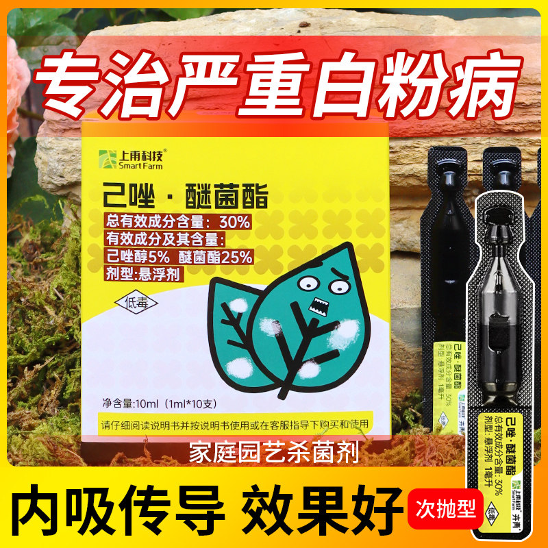 月季花病虫害常用药黄叶黑斑病白粉病药花卉植物月季白粉病专用药图片