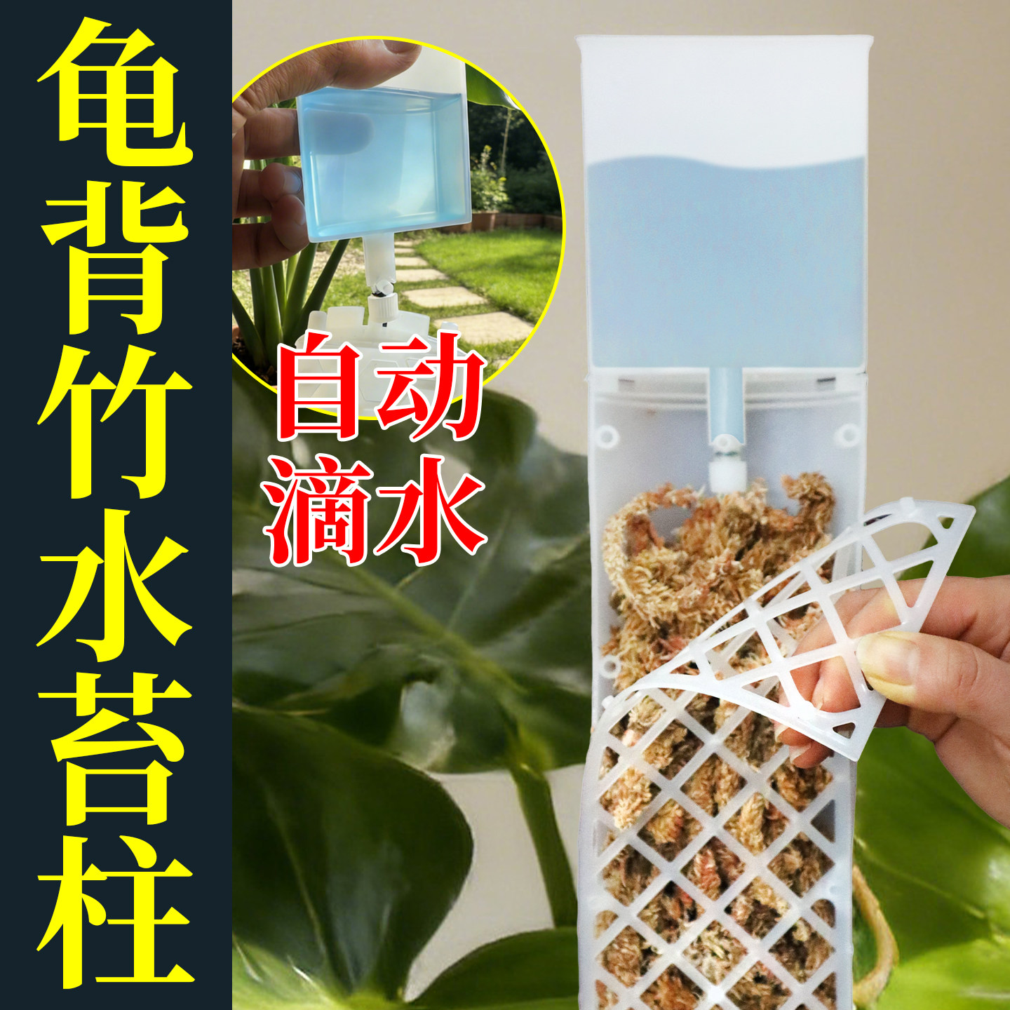 【自动滴水安心又省力】水苔柱图片