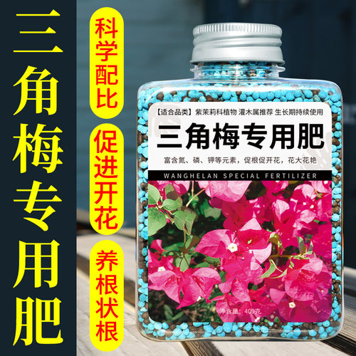 三角梅开花专用肥爆花促花施肥磷酸二氢钾肥料花卉专用颗粒缓释肥 - 封面