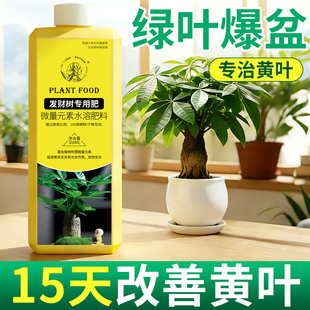 发财树营养液叶子发黄掉叶养花专用肥料复合肥花肥植物养花水溶肥