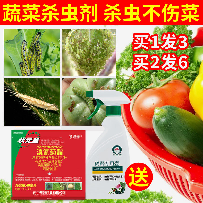 蔬菜杀虫剂家用菜虫农药杀菜虫药打青虫青菜杀虫药跳甲蚜虫专用药