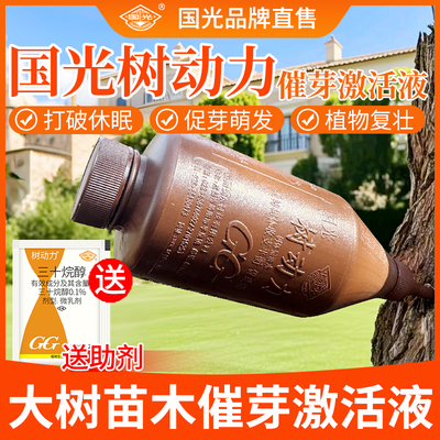 国光大树营养液催芽神器