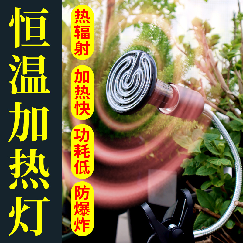 植物加热灯过冬暖房加热