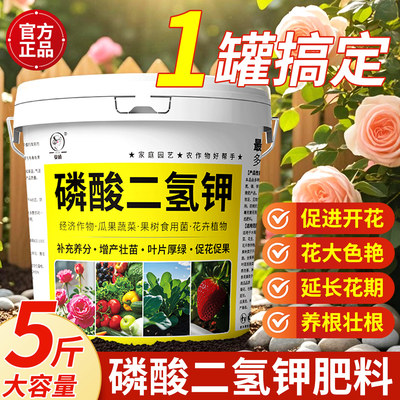 磷酸二氢钾促花保果生根壮苗