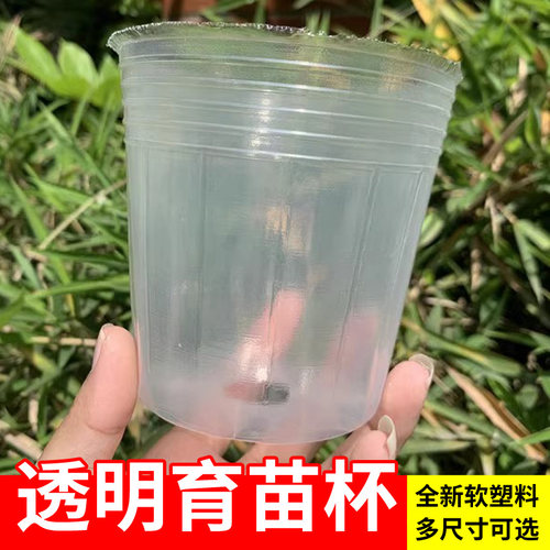 育苗杯蝴蝶兰石斛透明营养杯