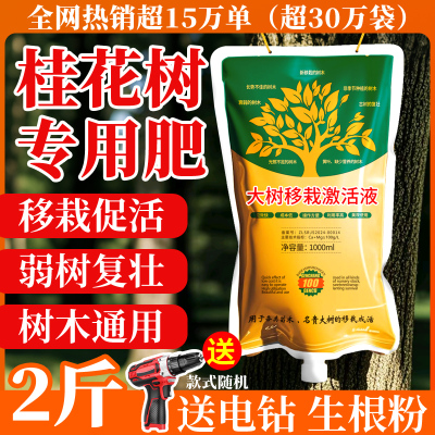 桂花树专用肥生根液室外地栽大树果树移栽树木营养液吊针液吊针袋
