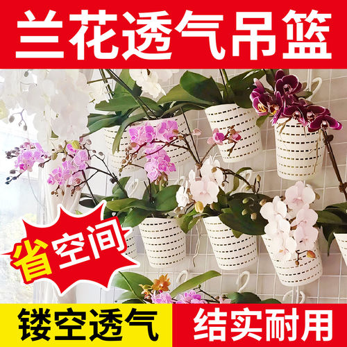 蝴蝶兰专用花盆悬挂花篮壁挂置物篮简约懒人花盆塑料盆栽阳台挂篮