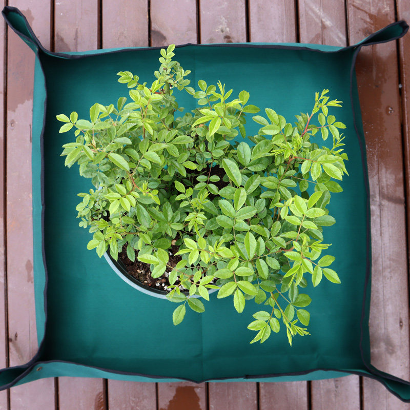 园艺地垫换土垫园艺垫换土地垫防水垫花垫子布垫换盆垫拌土垫加厚,鲜花速递/花卉仿真/绿植园艺,其它园艺用品,淘宝优惠券,粉丝福利购,淘宝优惠卷